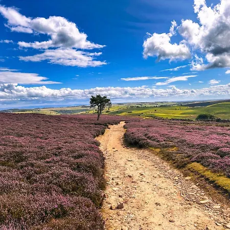 A D Barn Casa de Férias